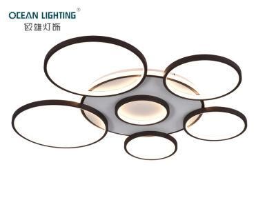 Decorative Pendant Lamp Lamp European Pendant Hotel Design Pendant Lamp