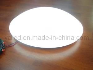 7W LED Ceiling Light Series (YC-CE2221-07)