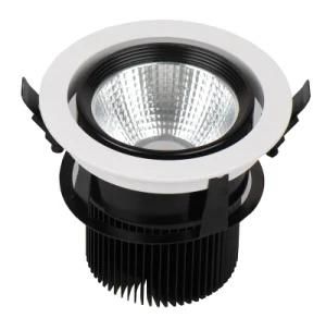 LED Ceiling Light 30W COB LED Downlight