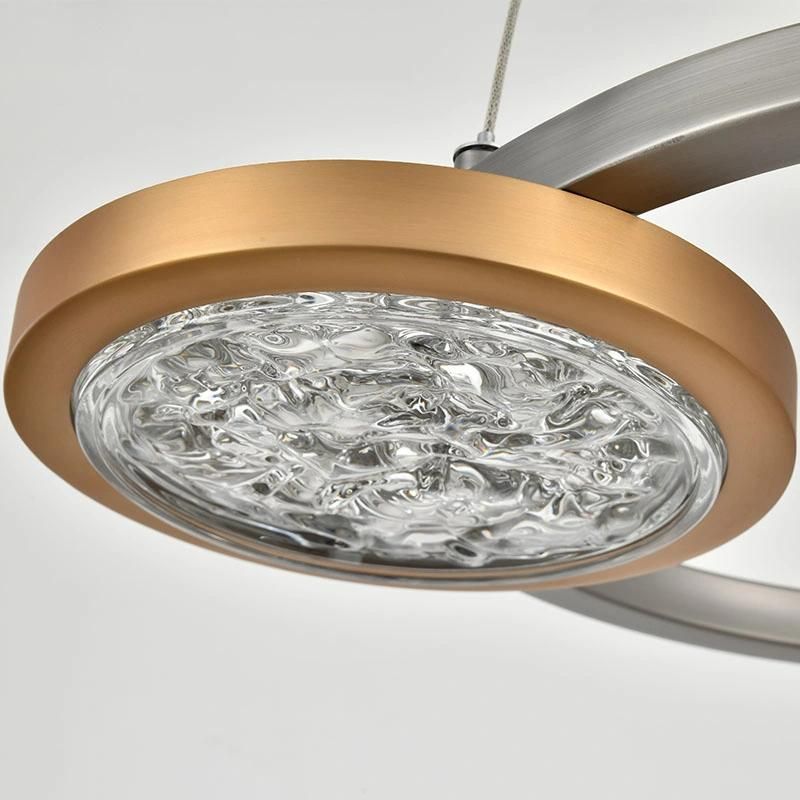 Contemporary LED Classic Gold Ceiling Lamp Circle Ring Chandeliers