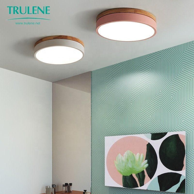 Nordic LED Ceiling Light Decorative Ceiling LED Lights Indoor