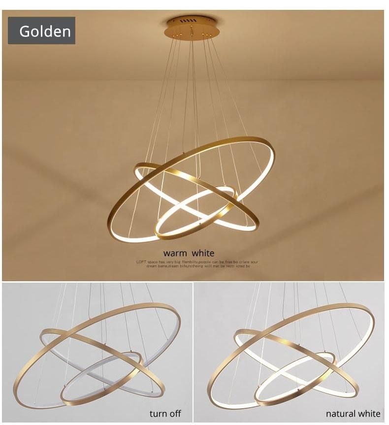 Indoor Modern Circular Ring Chandelier 1 - 3 Rings Pendant Light Home Hotel Lighting