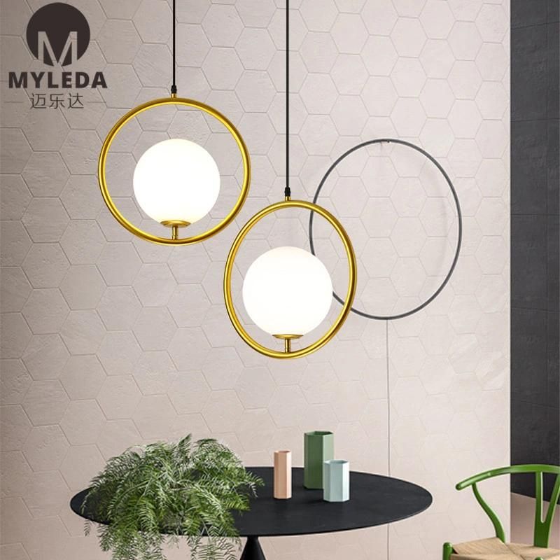 Modern Metal Glass Suspension Style LED Bulb Light Source Pendant Light