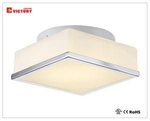 Modern Simple LED Ceiling Lamp for Living Room 18W 20W 24W