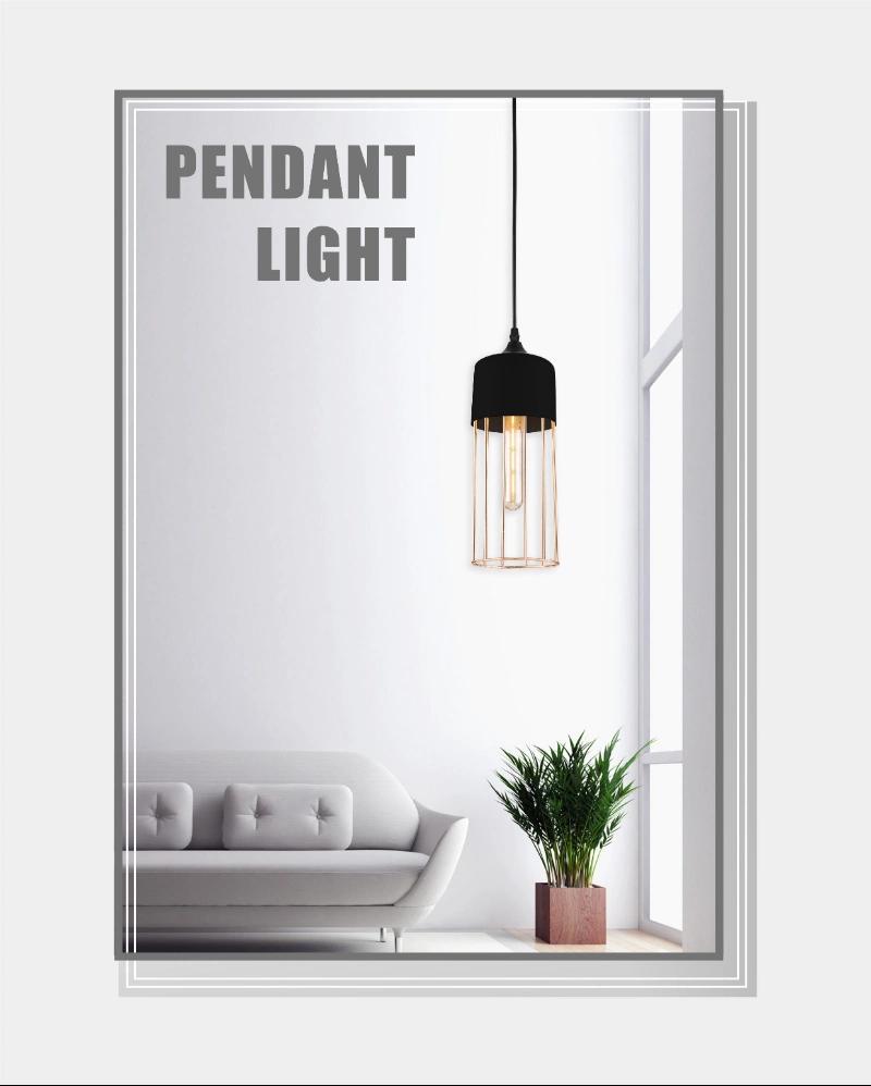 Modern Indoor Ceiling Hanging Lamp iron Decoration pendant light