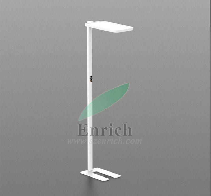 Color Temperature & Brightness Adjustable LED Floor Lamp for Office Lighting