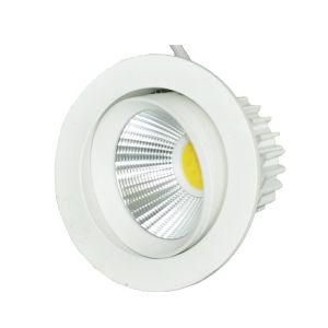 COB High Power Adjustable LED Downlight 30W