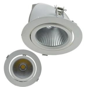 Recessed Elephant Nose 20W LED Down Light