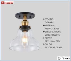 Round Interior Simple Glass Ceiling Lamp for Indoor Living