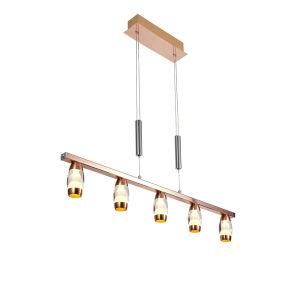 Adjustable Indoor Ceiling Lights with Rose Gold Finish
