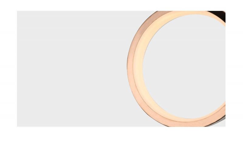 New Arrival Modern Indoor Small Chandeliers for Hallway Small Chandeliers Modern Decorative Hardware Hanging Chandelier Circle LED Pendant Light