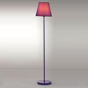 Red Color Lamp Shape Floor Lights (FL008)
