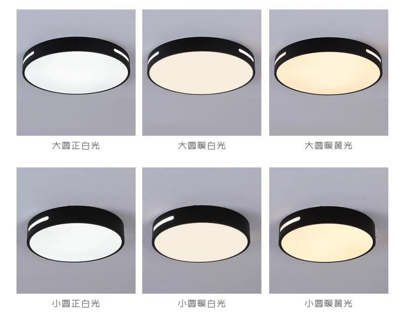 China Factory Modern Unique Iron Ceiling Pendant Light for Living Room Bedroom LED Lamp