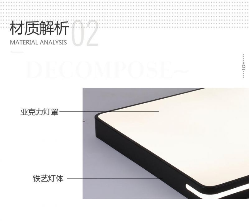 Fashion Modern Iron LED Living Room Bedroom Office Ceiling Light