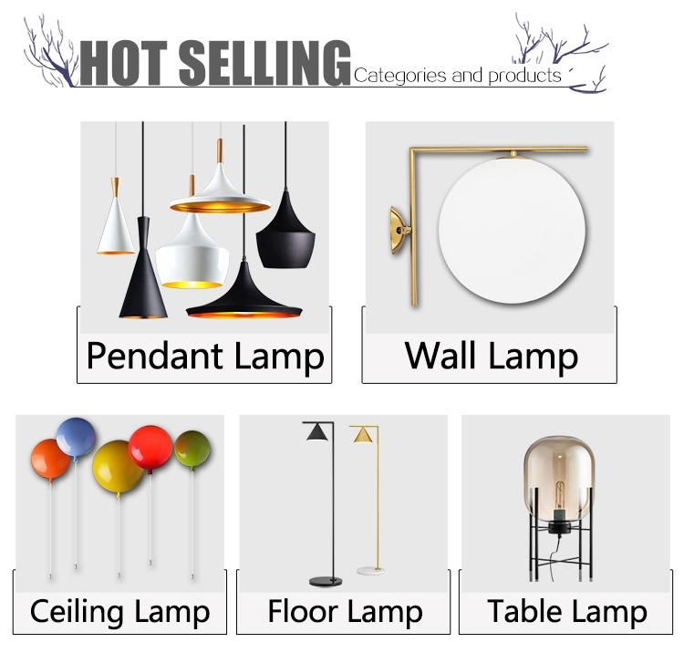 Modern Decorative Home Hanging Light Glass Pendant Lamp