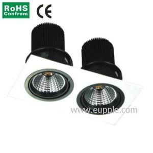 20W*2 40W LED Ceiling Light/LED Downlight/COB (FTS-C081)