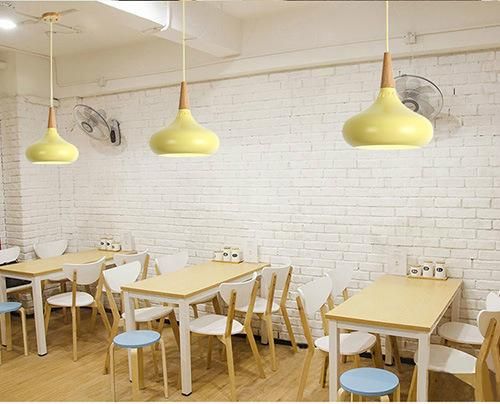 Indoor Lighting Hanging Pendant Lamp Restaurant Bedroom Sitting Room Decoration Light