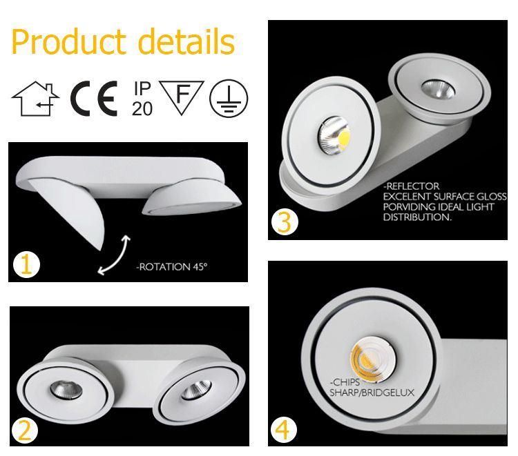 Adjustable 30W Surface Mounted Ceiling Light Ceiling Downlight COB LED Spotlight