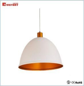 Energy-Saving Hot Sale Modern Simple Hanging Pendant Lamp