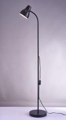 Household Wire Controlled Floor Lamp