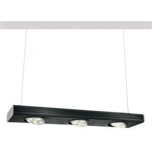 2 Wire LED Rope Light (LPL115)