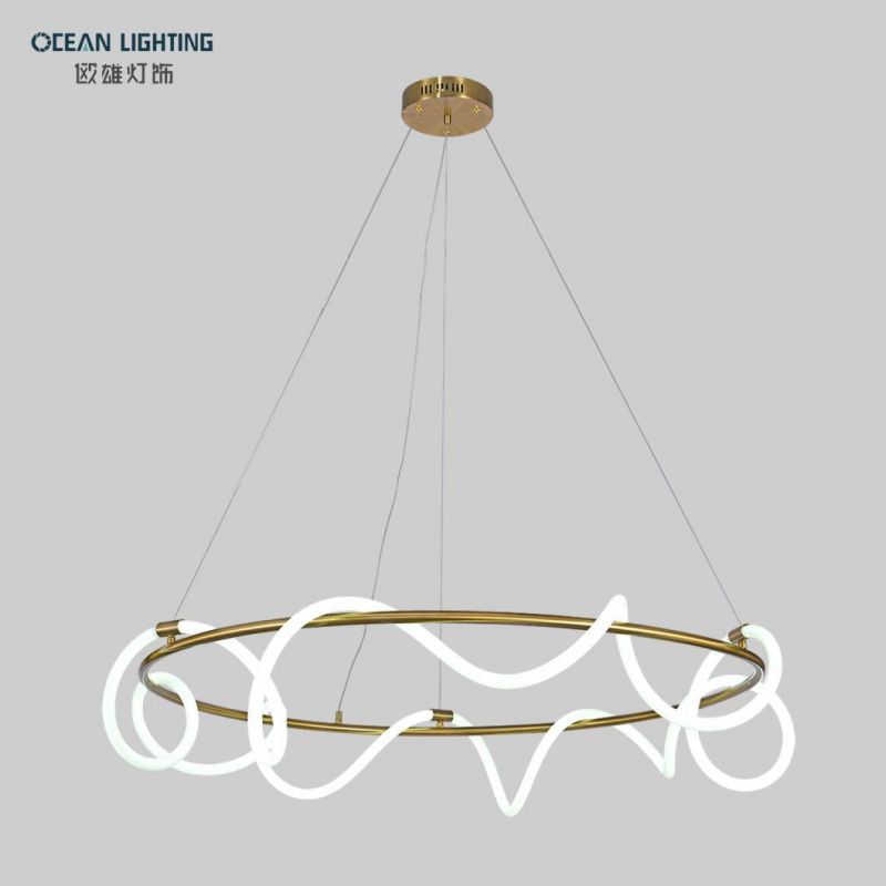 Acrylic Pendant Lamp Nordic LED Pendant Lights Om82097 Dia110*H30cm