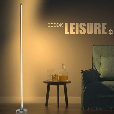 Modern Nordic Decor Designer Corner Standing RGB LED Floor Lamp LED Linear with Remote Control
