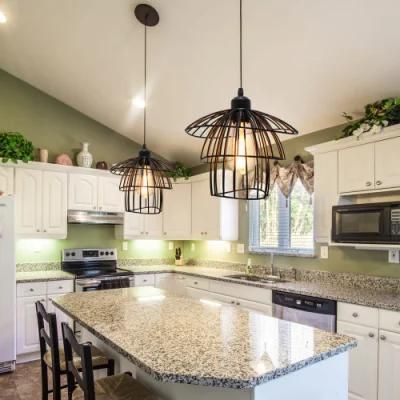 Retro Loft Pendant Lamps Indoor E27 Metal Guard Restaurant Lamp Decoration Iron Pendant Lights (WH-VP-90)