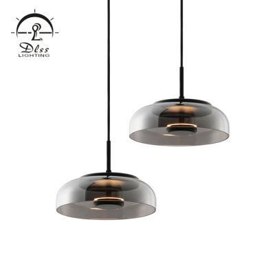 Interior Desinger Home Smoky Glass Bowl LED Pendant Lights