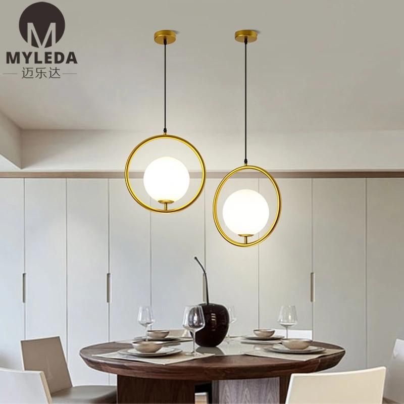 Modern Metal Glass Suspension Style LED Bulb Light Source Pendant Light