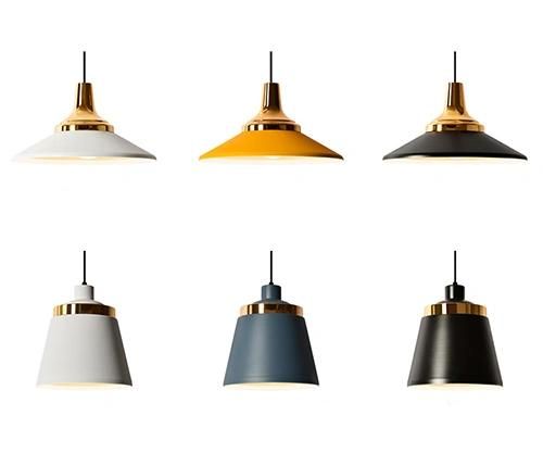 Modern Hanging Pendant Lamp for Interior Decorative Lighting