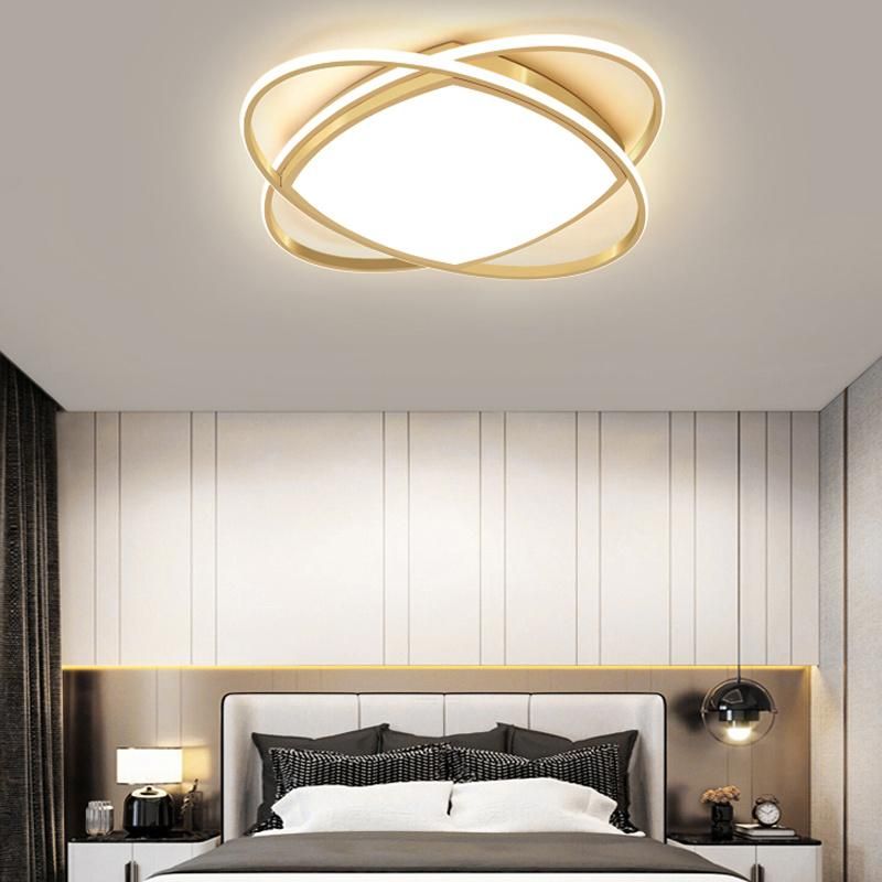 Simple and Modern LED Ceiling Light Household Study Light Living Room Lamp