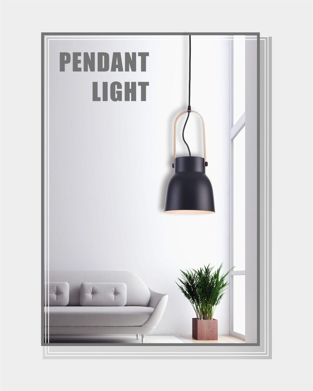 Decorative Interior Iron Hanging Ceiling light Pendant Lamp with RoHS