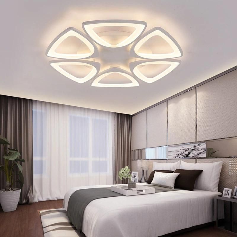 Adjustable Acrylic Ceiling Lights for Living Room Bedroom Kitchen Lighting Fixtures (WH-MA-58)