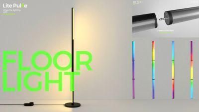 Ilightsin Detachable RGBW 12W Night Spirit Room TV Lighting LED Floor Lamp