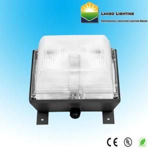 60W Induction Lamp Garage Canopy Lighting (LG0379A)