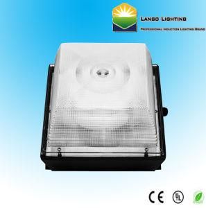 60W Induction Lamp Canopy Lighting (LG0379)