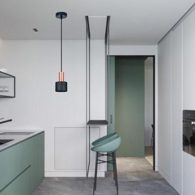 Contemporary New Design Interior Metal LED Hanging Pendant Light