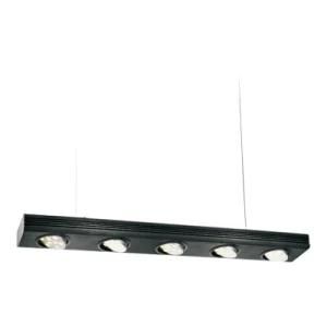 LED Soft Rope Light (LPL117)
