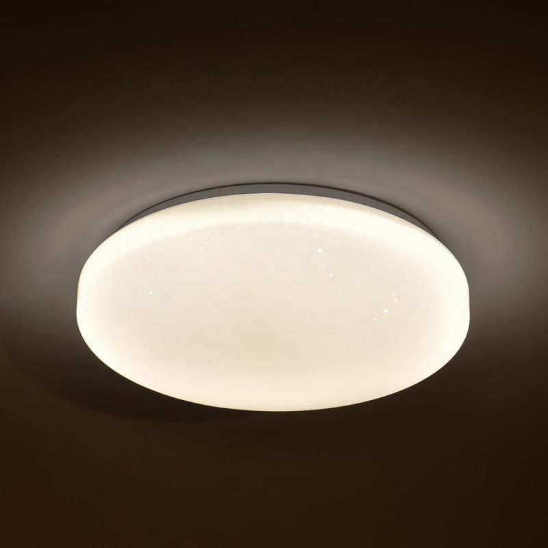 Nordic Modern Indoor Lighting Remote Control LED Round Ceiling Light