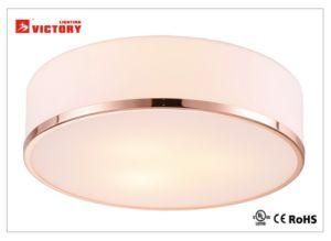 Modern Ceiling Lamp Shade Glass LED Lighting 18W