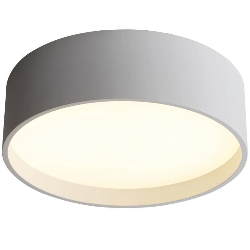 Modern Simple Decorative LED Ceiling Light