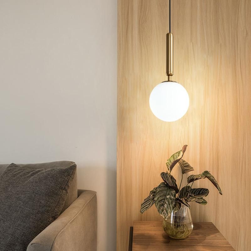 Modern Pendant Light Simple Acrylic Ball Bedside Hanging Light Round Ball Global Pendant Lamp (WH-GP-38)