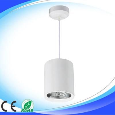 7W 10W 20W 30W 40W COB LED Pendant Light (YC-TDCOB)