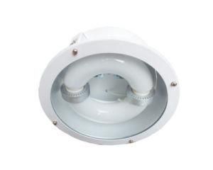 Electrodeless Lamp Tube Light (NLOW-TD0802)
