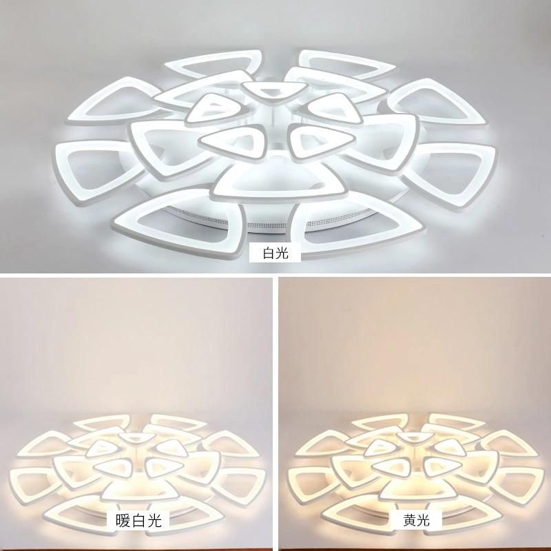 Adjustable Acrylic Ceiling Lights for Living Room Bedroom Kitchen Lighting Fixtures (WH-MA-58)