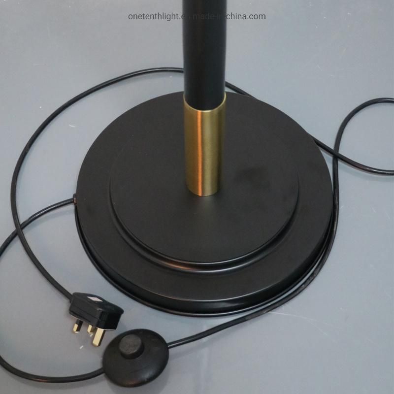 Metal Body in Black and Brass Finish Floor Lamp