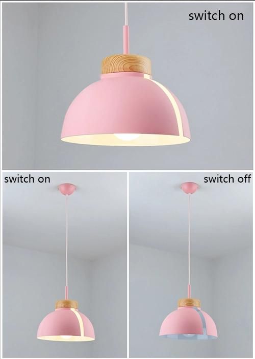 Europe Decorative LED Pendant Light Modern Pendant Lighting Hanging Pendant Lights