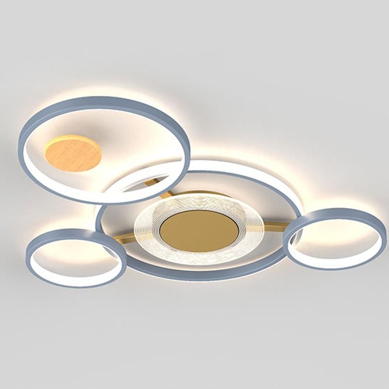 Art Personality Ceiling Light Modern Diningroom Lamp Bedroom Light Livingroom Lamp