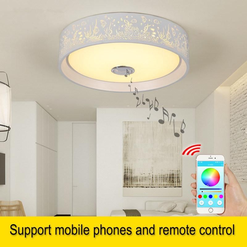 Bedroom Ceiling Lamp Music Bluetooth and Remote Control LED Smart Ceiling Light Fixtures (WH-MA-45)